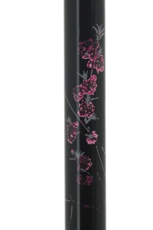 4167-Canne-reglable-en-carbone